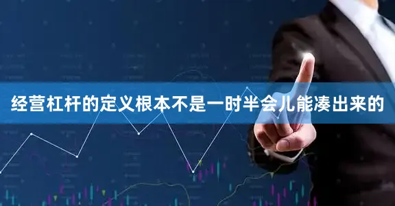 经营杠杆的定义根本不是一时半会儿能凑出来的