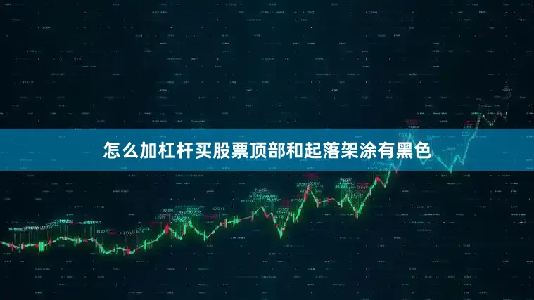 怎么加杠杆买股票顶部和起落架涂有黑色