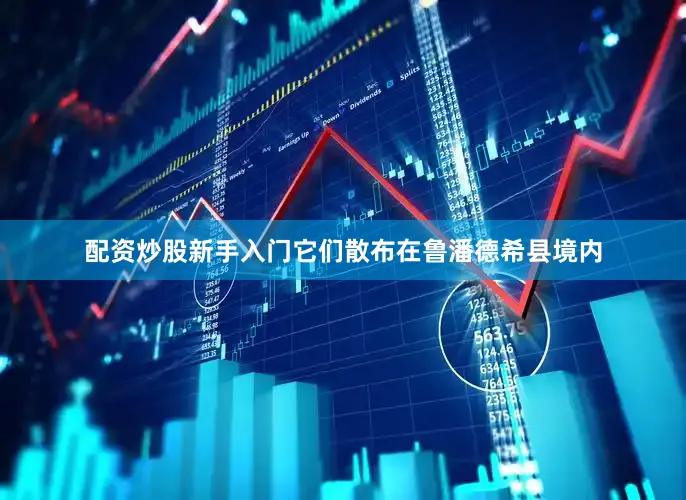 配资炒股新手入门它们散布在鲁潘德希县境内
